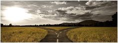 Forked%20road