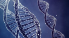 Dna