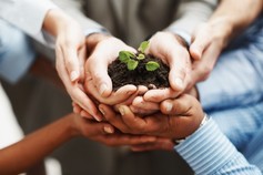 Hands%20nurturing%20plant